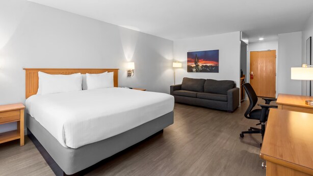 A hotel room with a bed, a sofa, a desk, and a chair.
