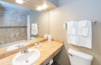 Combined shower/tub, designer toiletries, hair dryer, bathrobes at The Hotel at La Valle