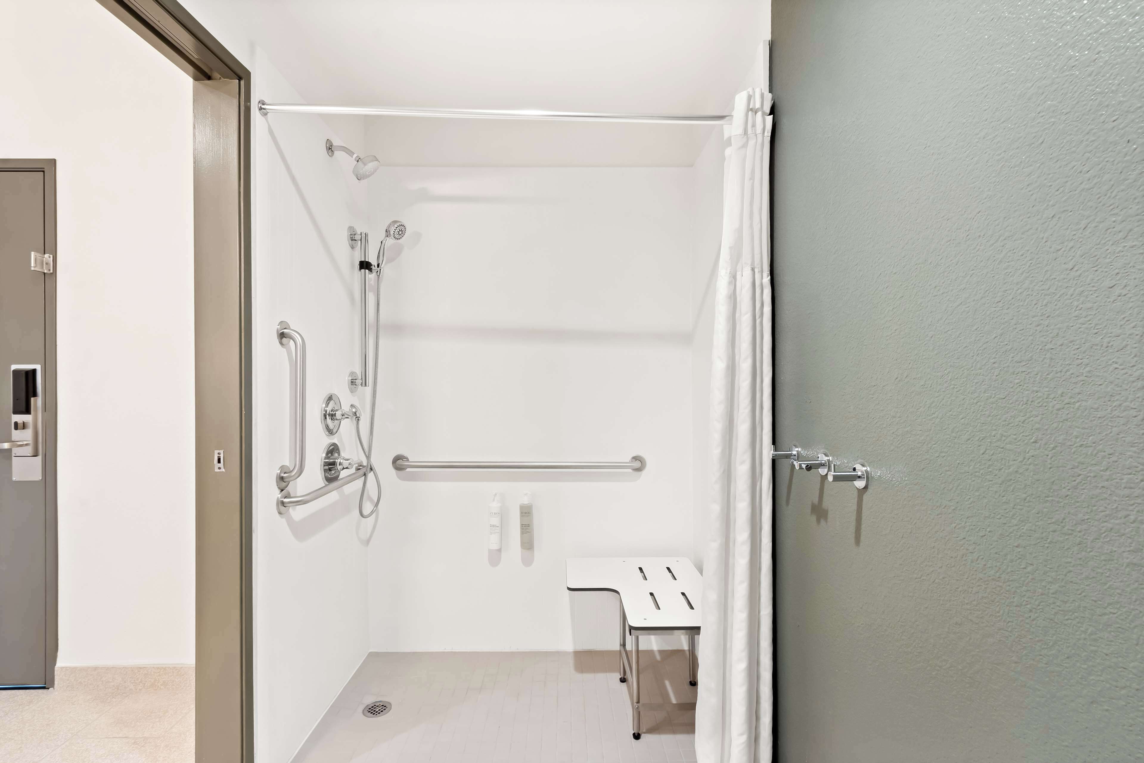 room, 1 king bed, accessible (roll-in shower) | bathroom shower