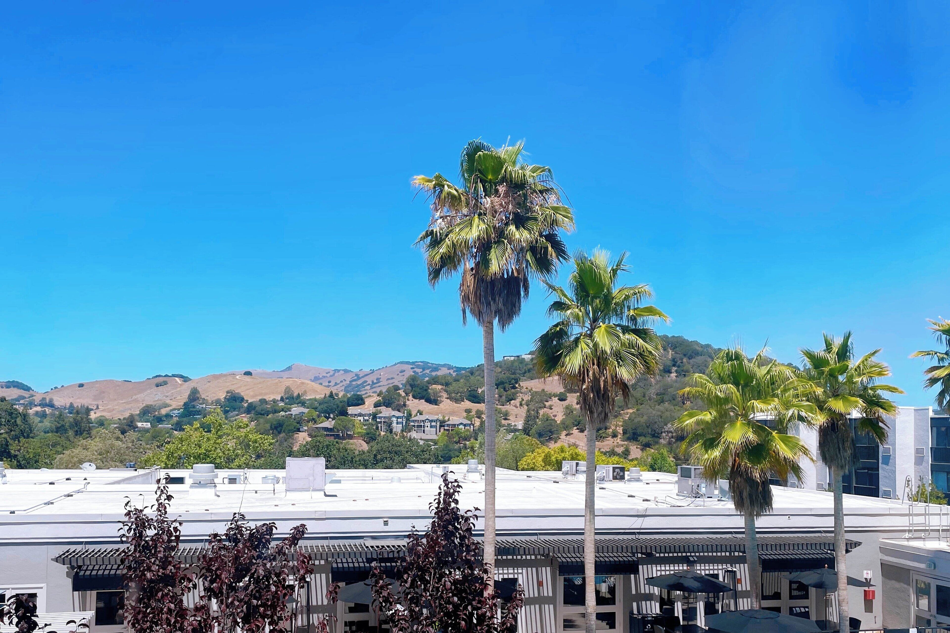 1 bedroom, premium bedding, pillow-top beds, in-room safe