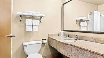 A bathroom with a toilet, sink, and towel rack.