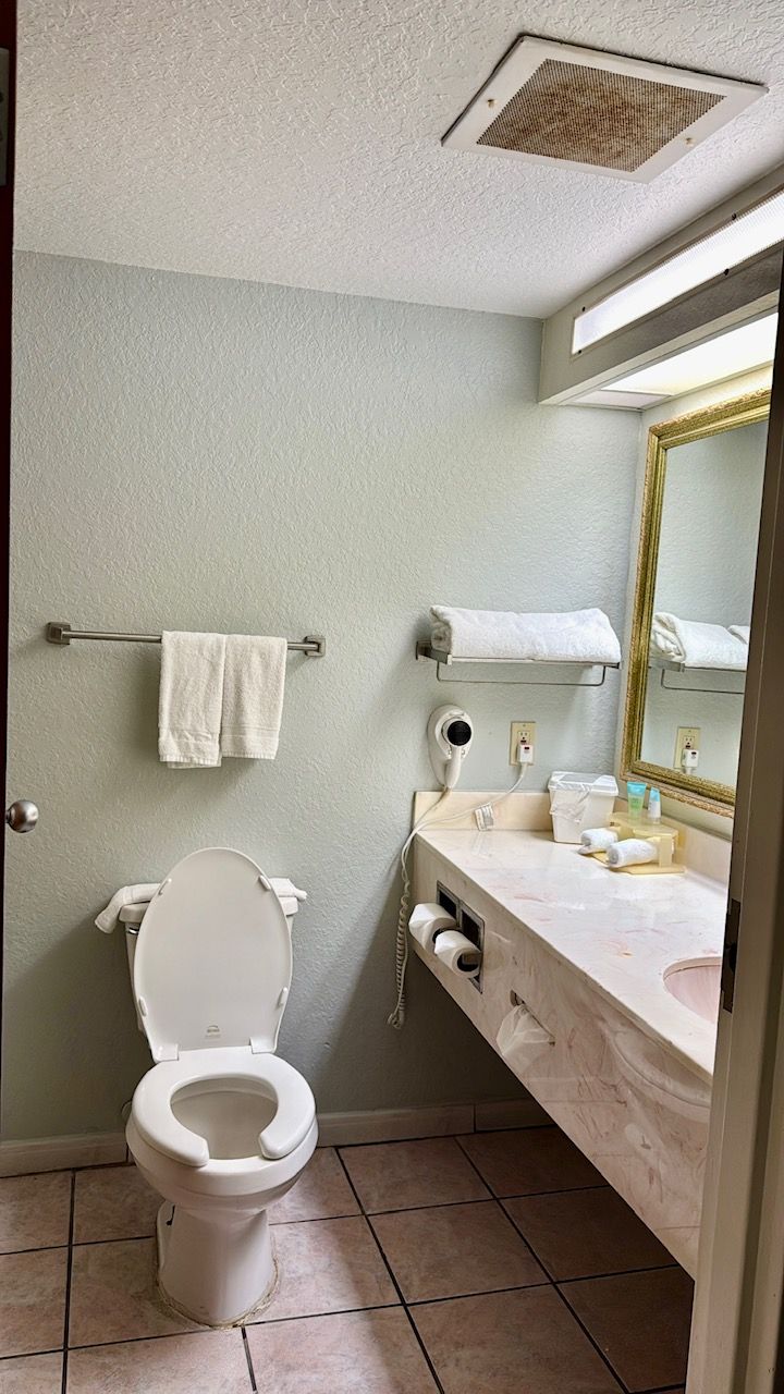 A bathroom with a toilet, sink, towel rack, and a mirror.
