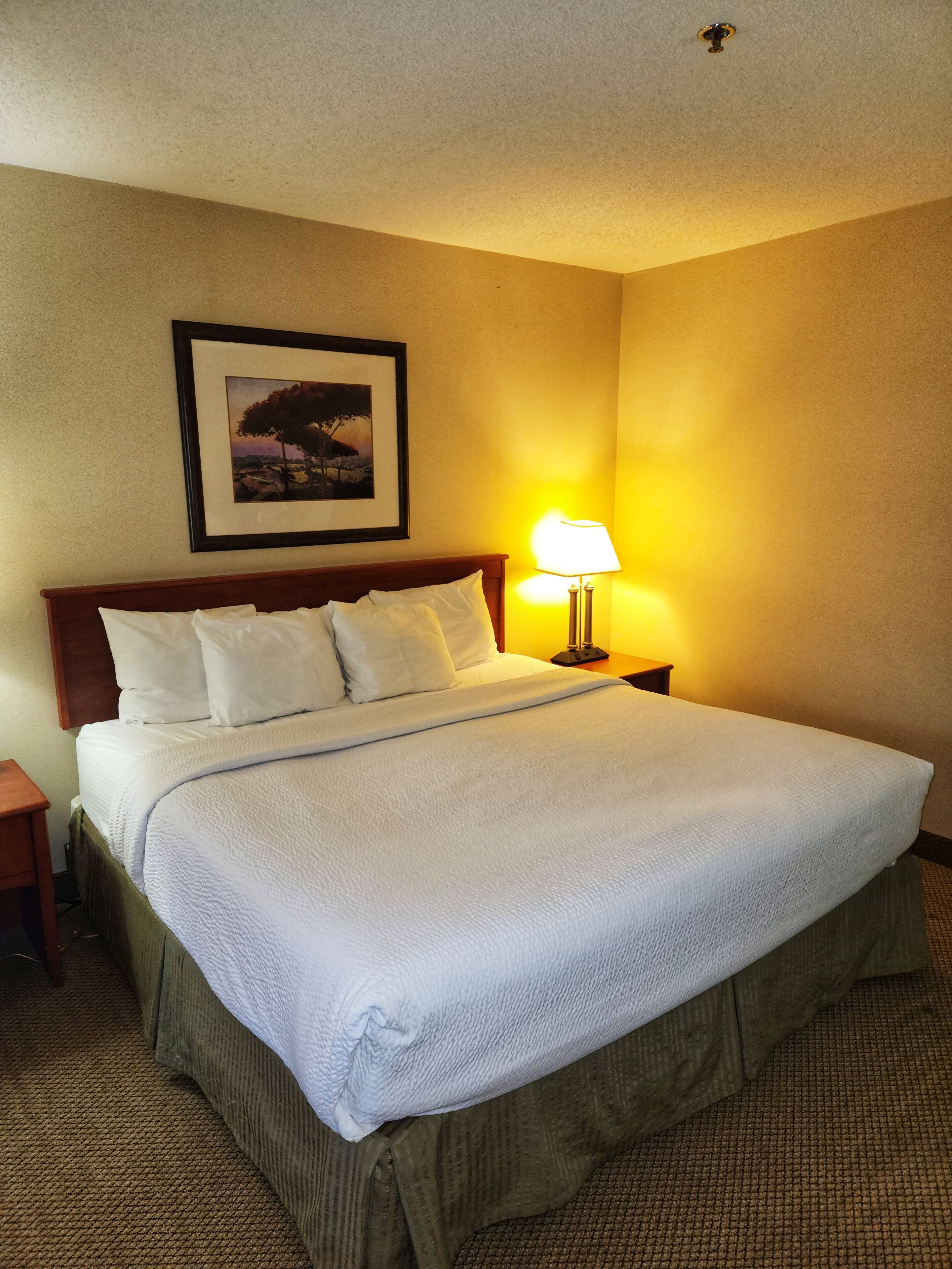 Premium bedding, desk, iron/ironing board, free cribs/infant beds