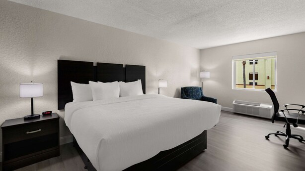 A hotel room with a large bed, bedside tables with lamps, a chair, and a window with a view of the outside. - Quality Inn - Near Serenoa Golf Club (Sarasota)