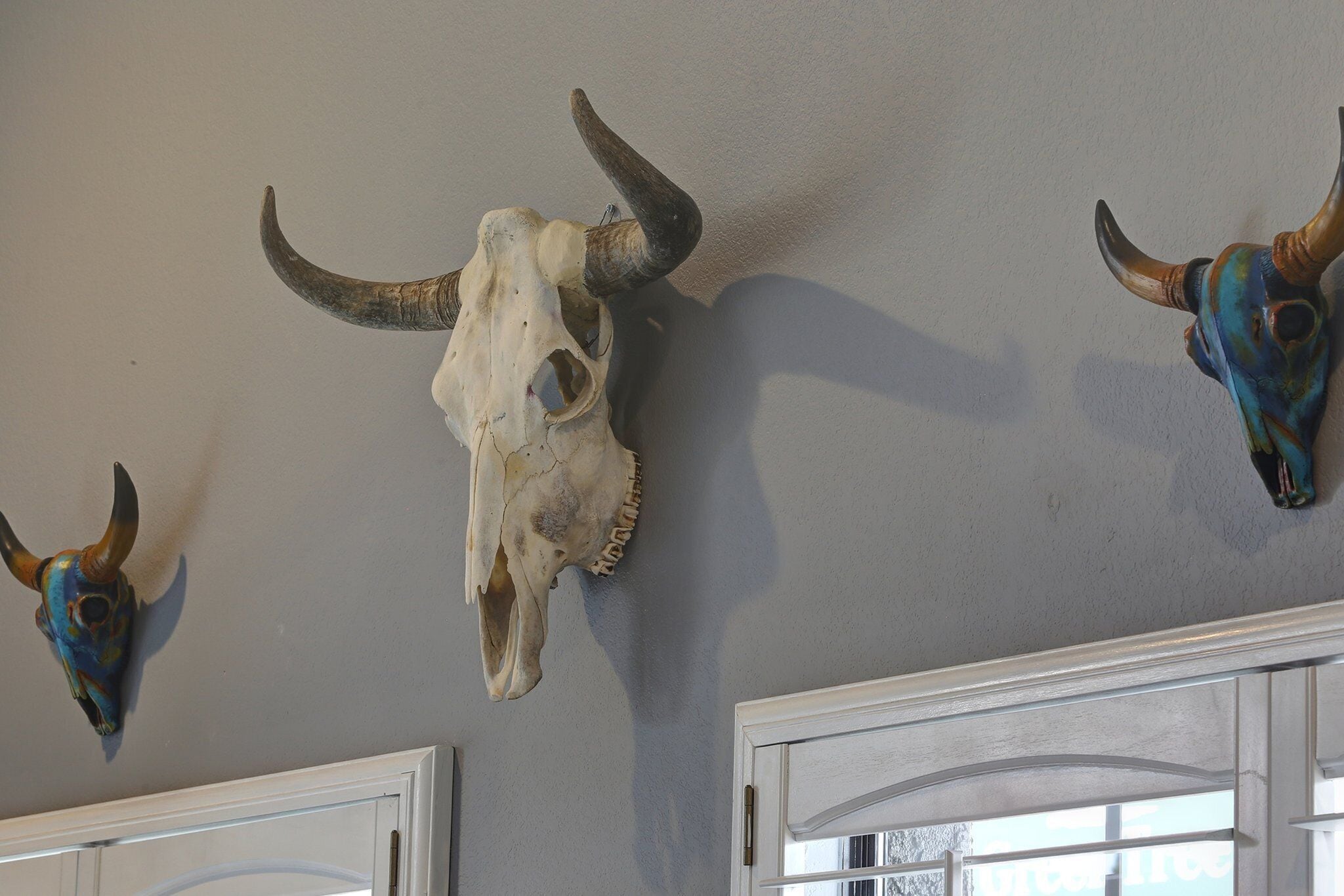 A room with a large bull skull mounted on the wall, a window with a view of trees, and a door with a white frame.