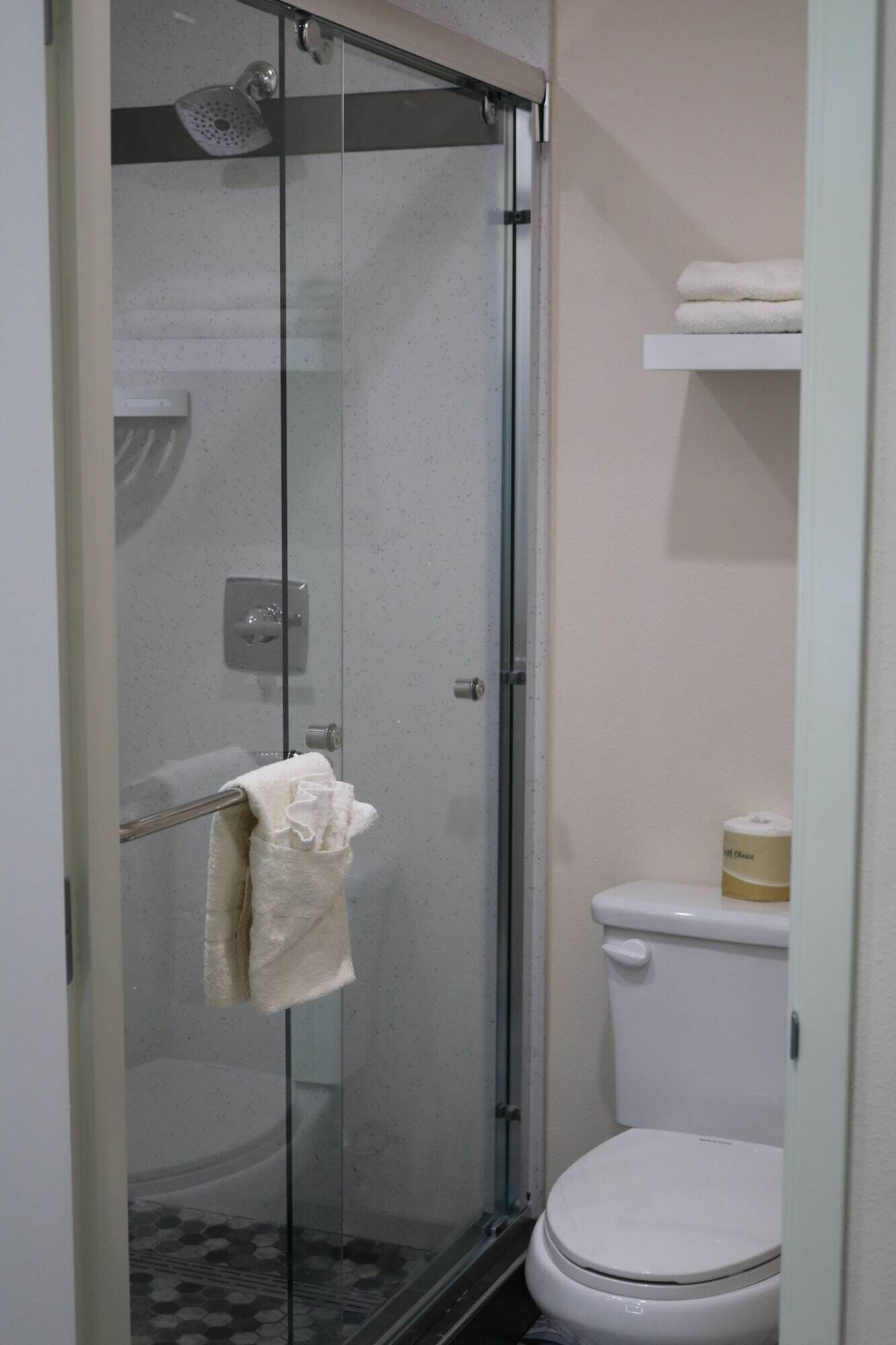A glass-enclosed shower stall with a towel rack, a toilet, and a shelf with a roll of toilet paper.