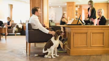 Un espace d’accueil avec un bureau en bois, une réceptionniste assise et un chien.