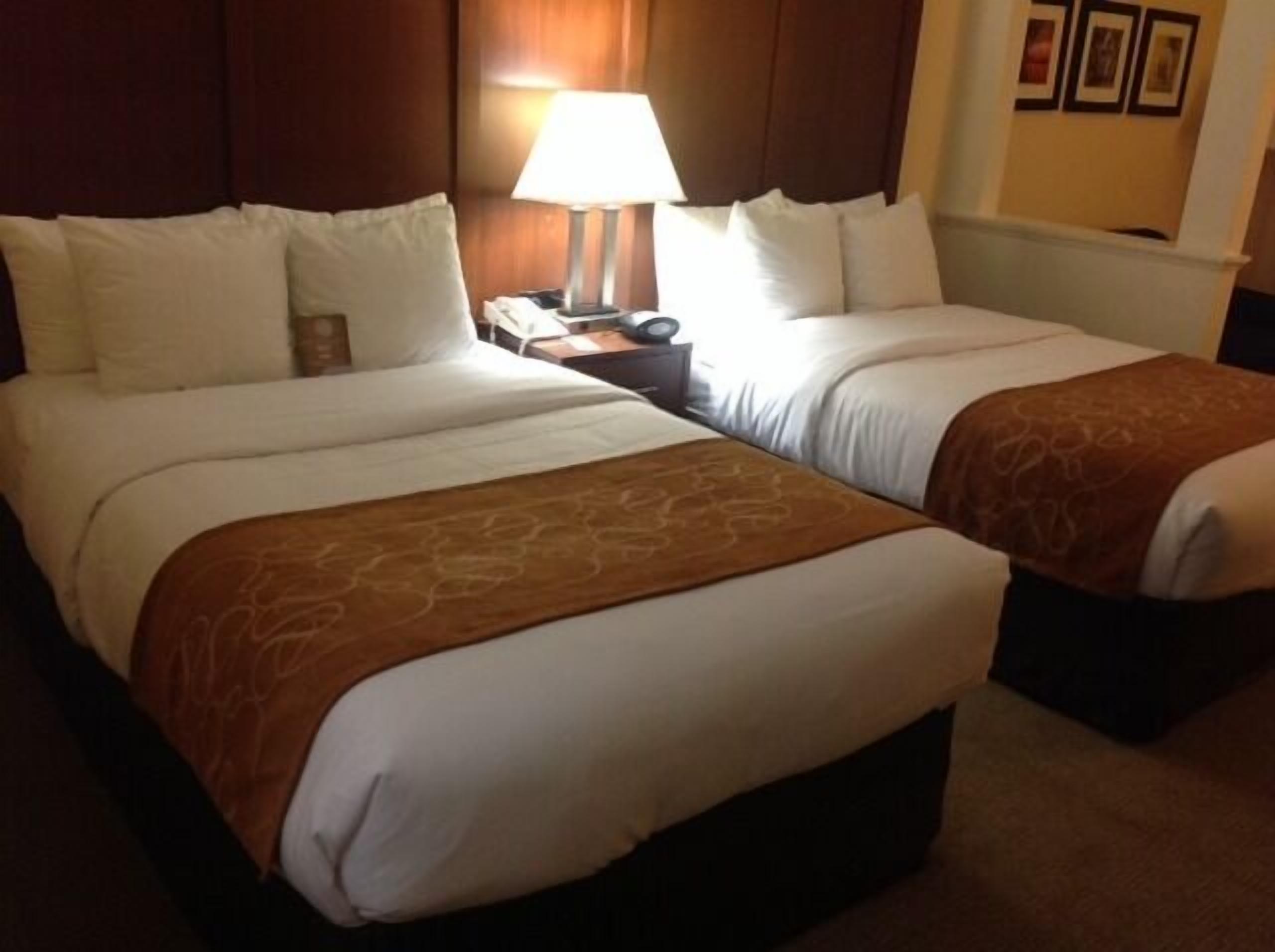 A hotel room with two beds, a nightstand with a lamp, and a wall with framed pictures.