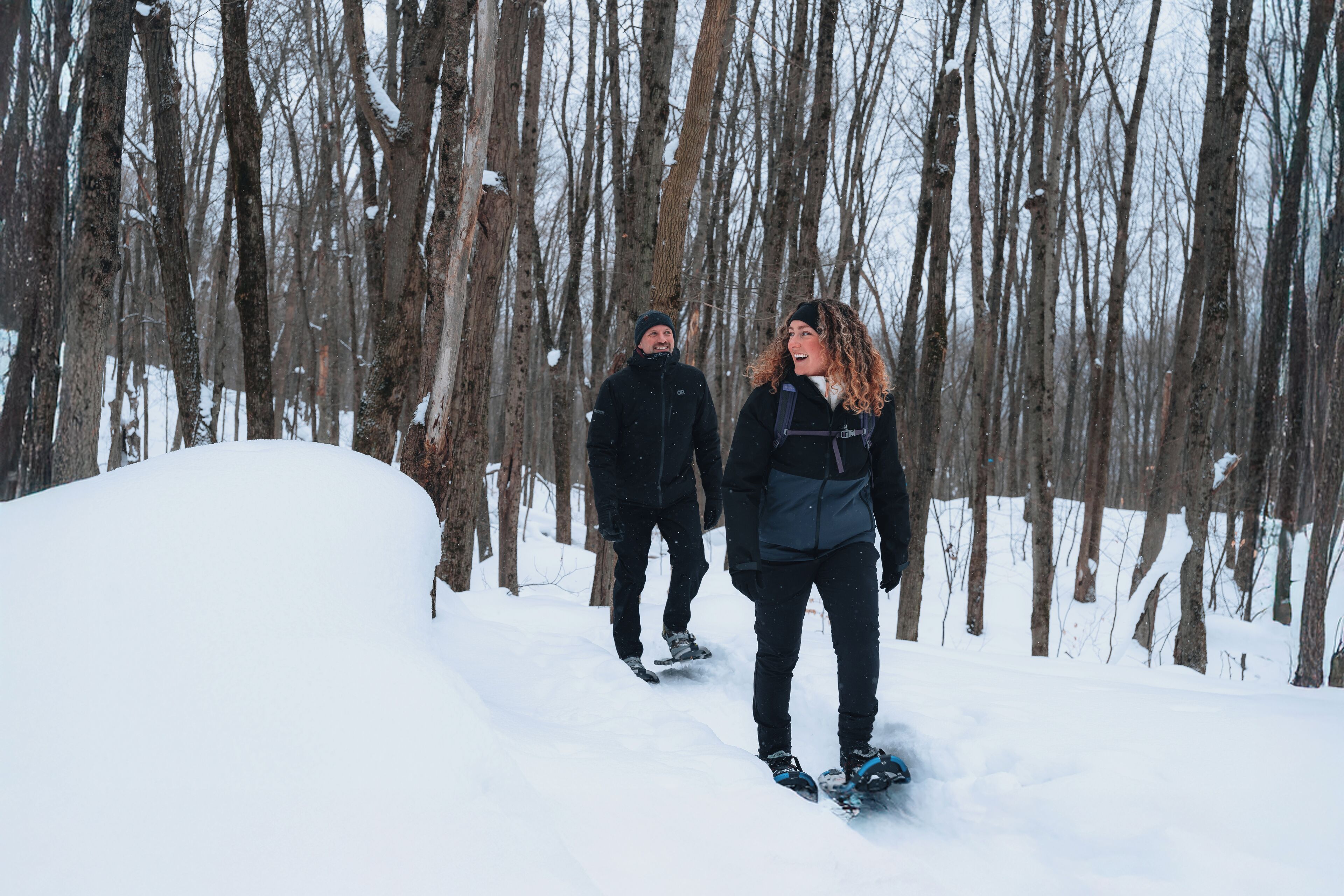 A snowy forest with two people snowshoeing.