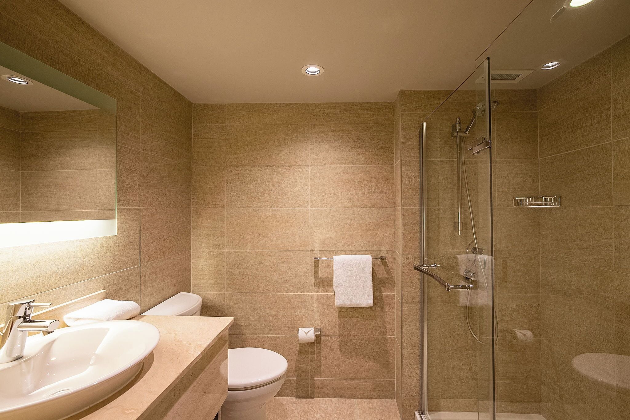 A modern bathroom with a glass-enclosed shower, a large sink, and a toilet.