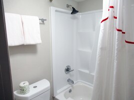 Combined shower/tub, hair dryer, towels, soap