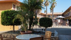 An outdoor seating area with a round table and chairs, surrounded by potted plants and a palm tree. - Studio City Court Yard Hotel (Studio City)