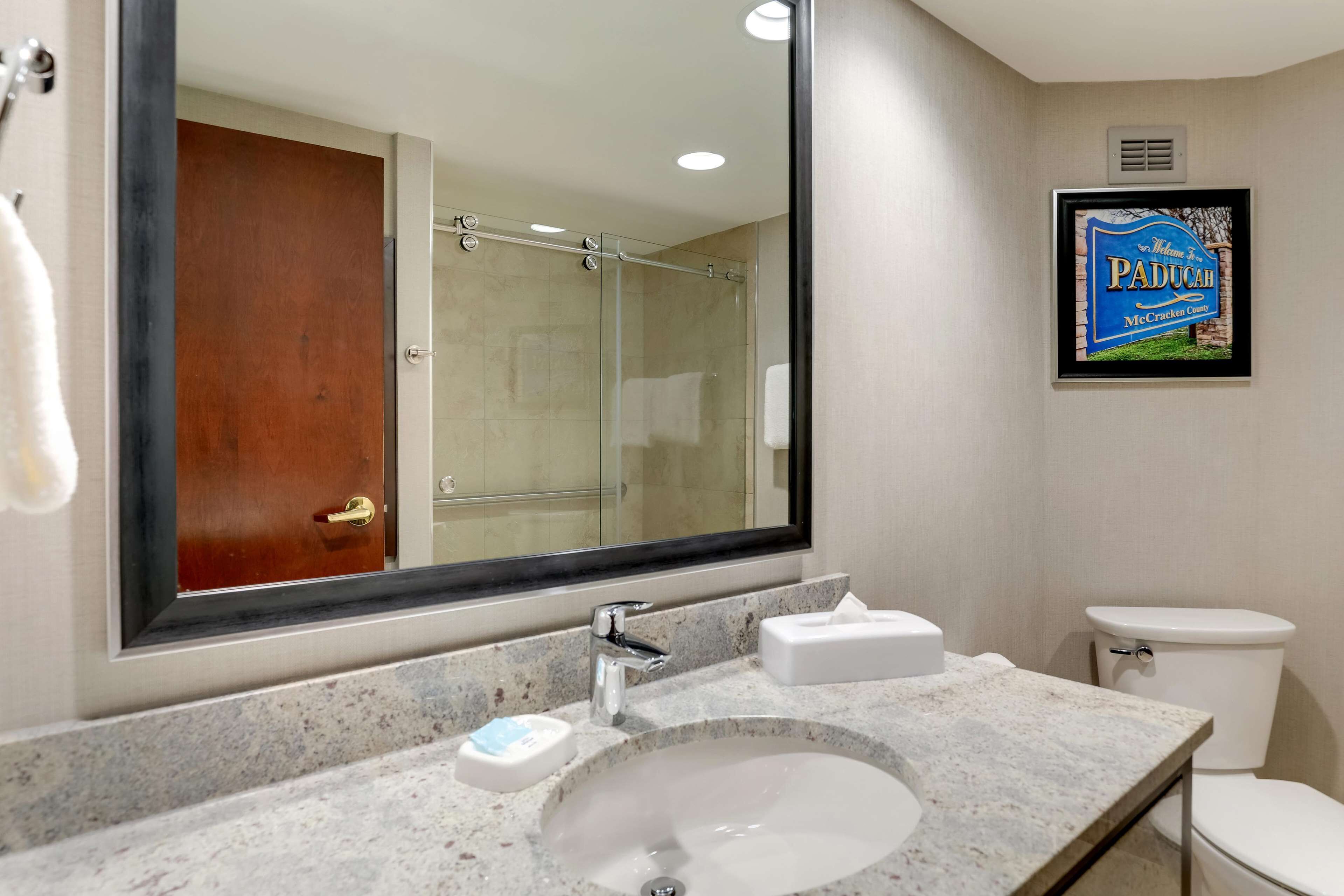 combined shower/bathtub, free toiletries, hair dryer, towels