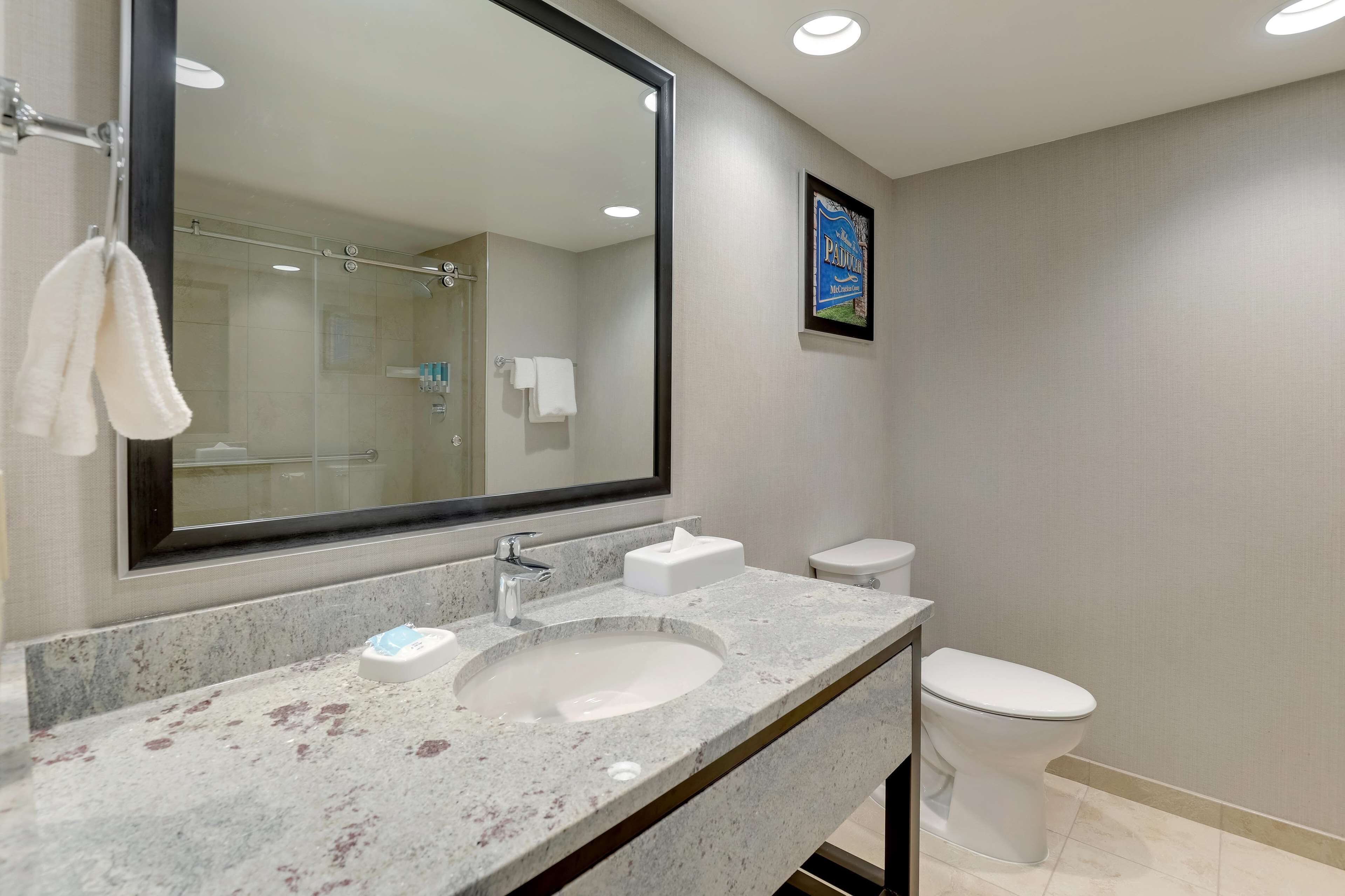 combined shower/bathtub, free toiletries, hair dryer, towels