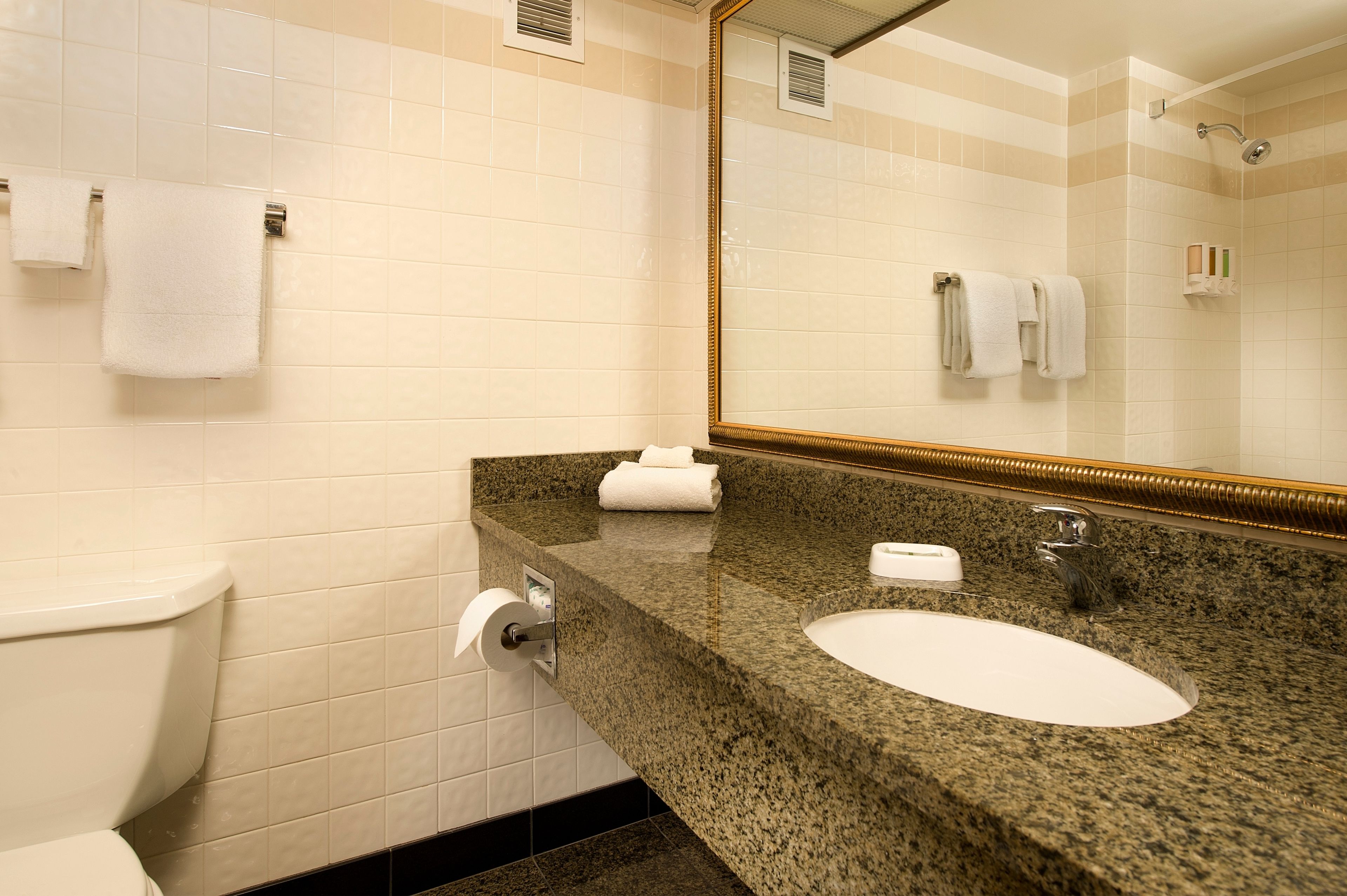 combined shower/bathtub, free toiletries, hair dryer, towels