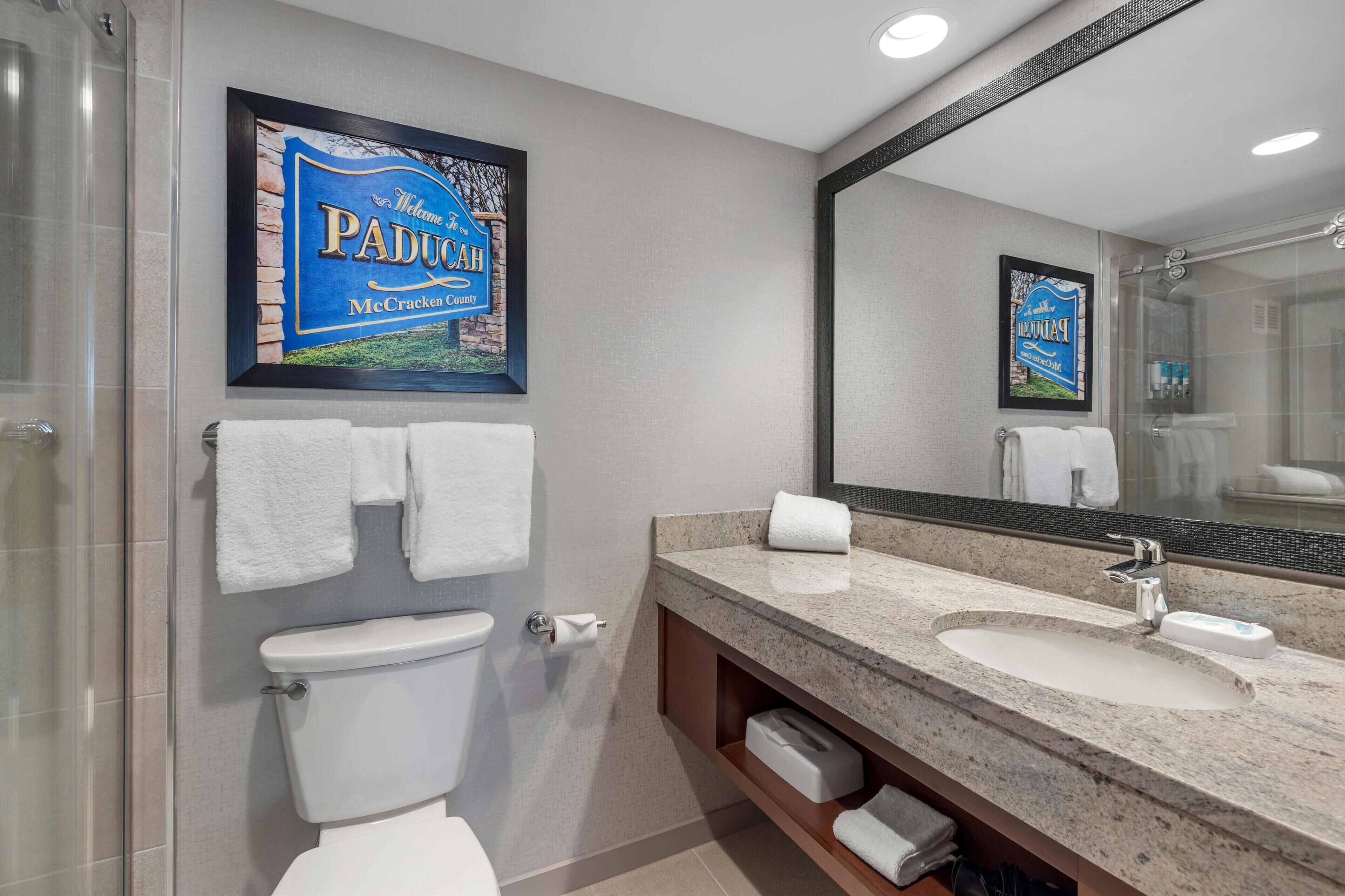 combined shower/bathtub, free toiletries, hair dryer, towels