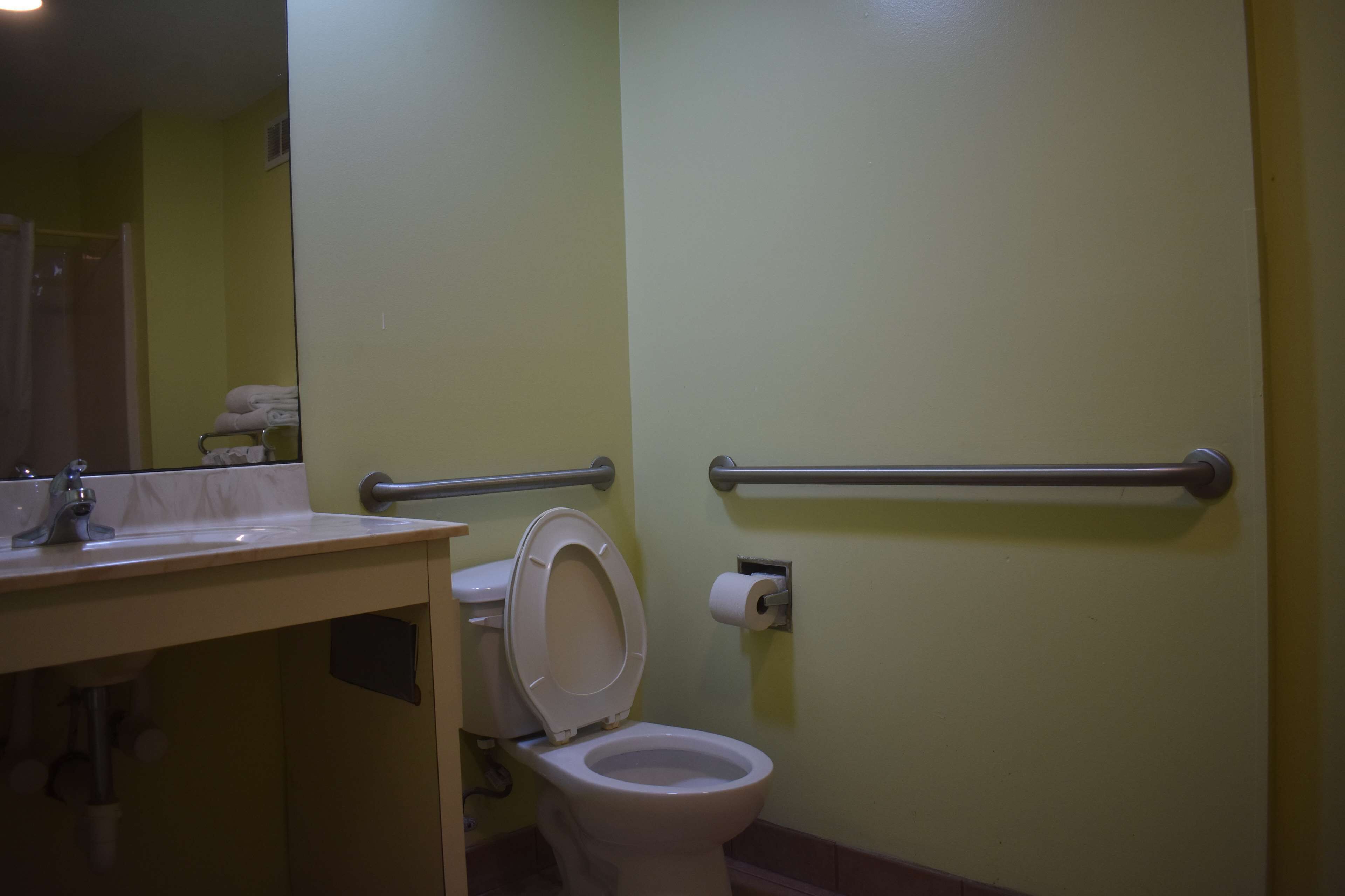 A bathroom with a toilet, sink, and handrails.