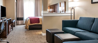 Comfort Inn & Suites Mount Sterling