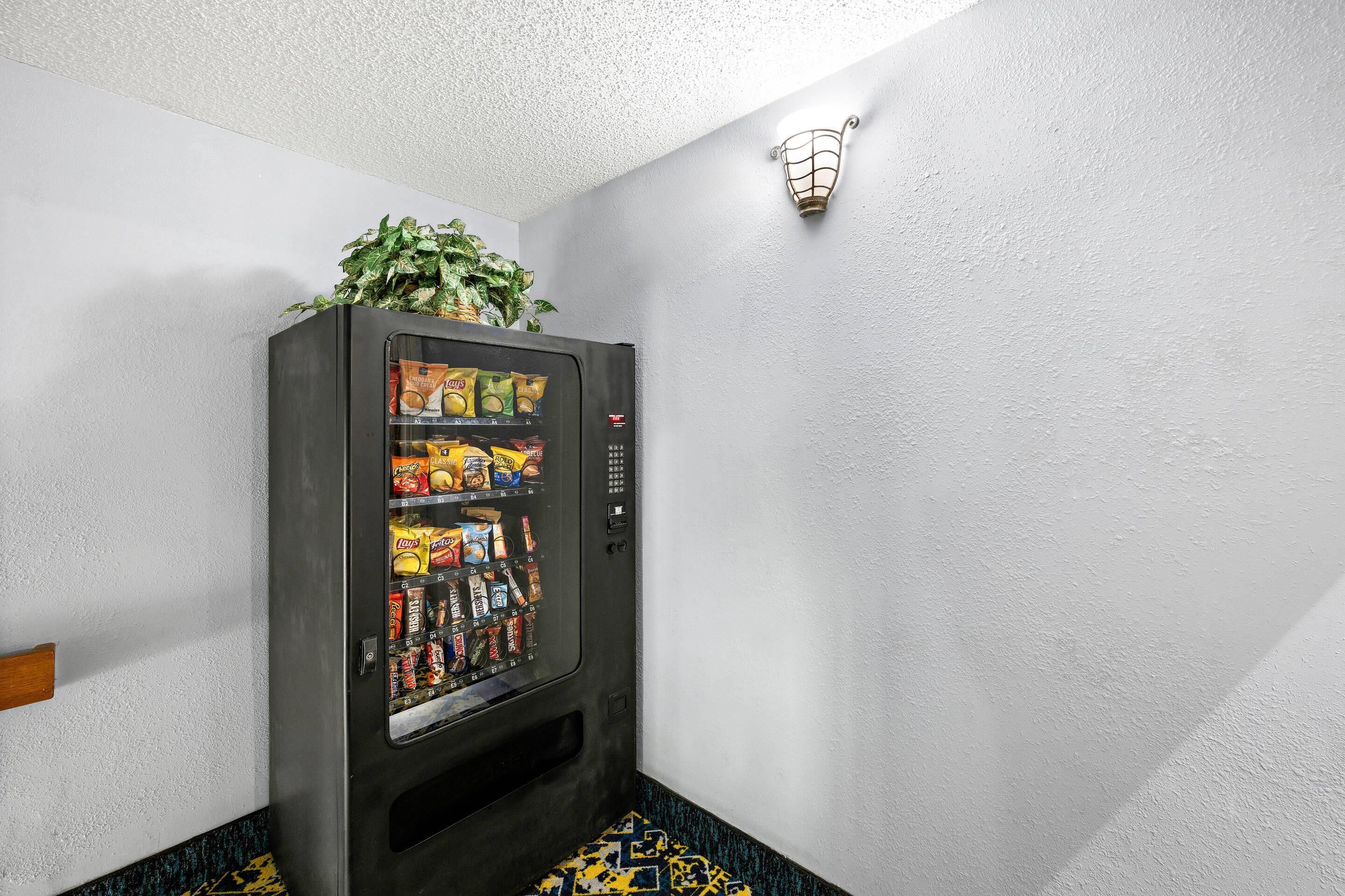 Photo - Econo Lodge London North