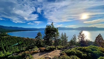 Ett naturligt landskap med klar himmel, en vattenyta och ett skogsområde.