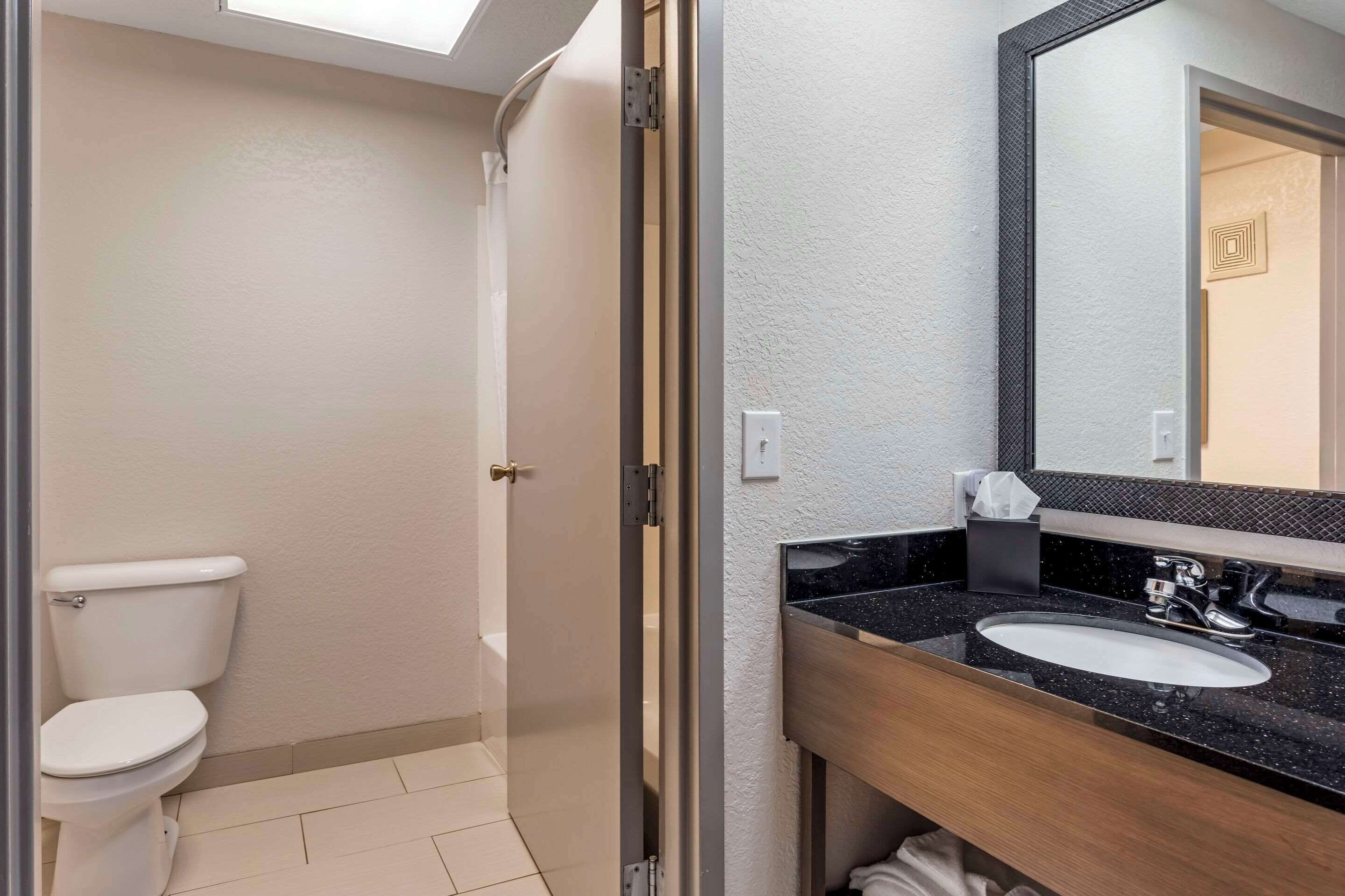 A bathroom with a white toilet, a black sink with a wooden vanity, and a mirror above the sink.