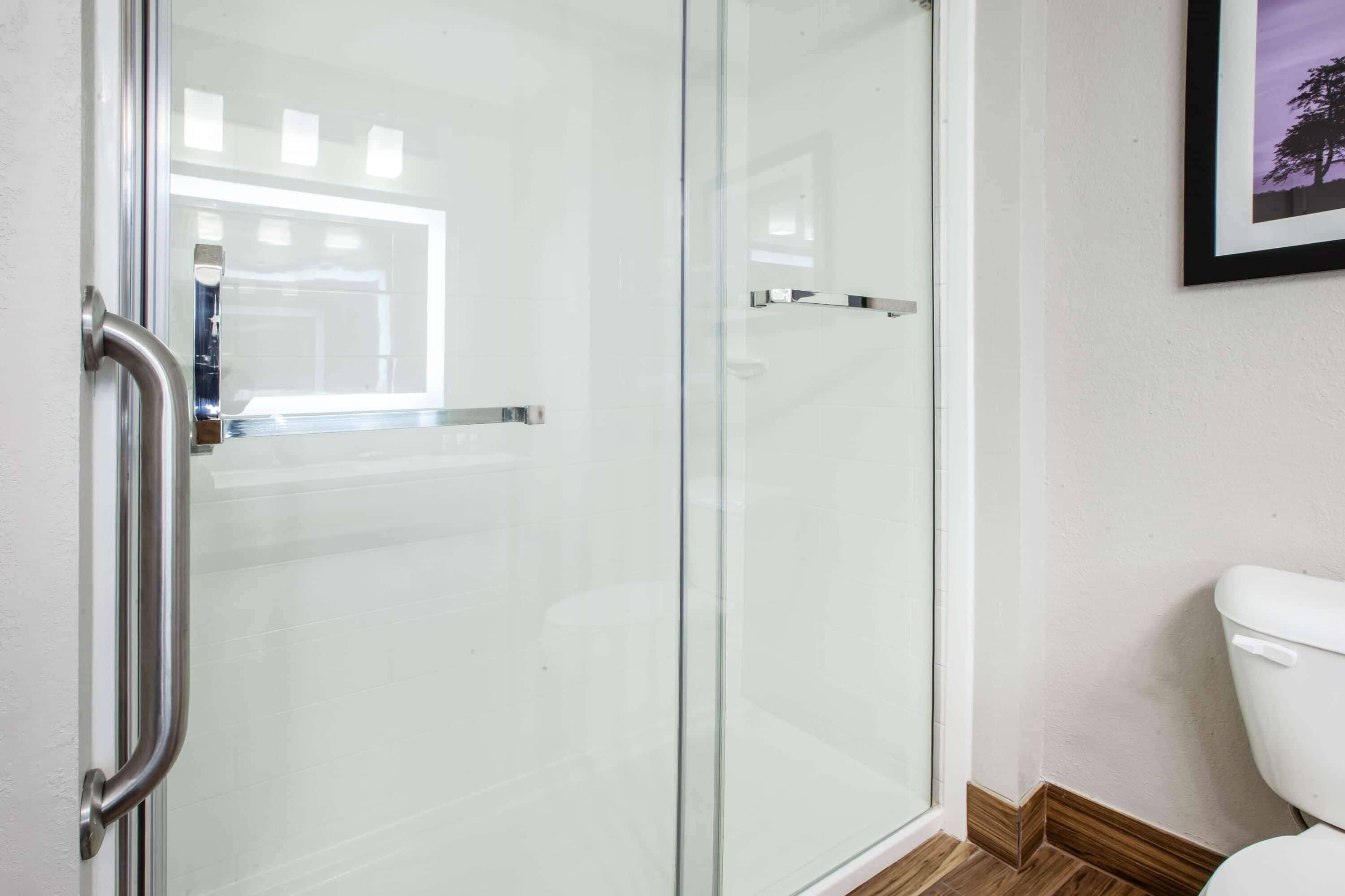 A bathroom with a glass shower enclosure, a white toilet, and a framed picture on the wall.