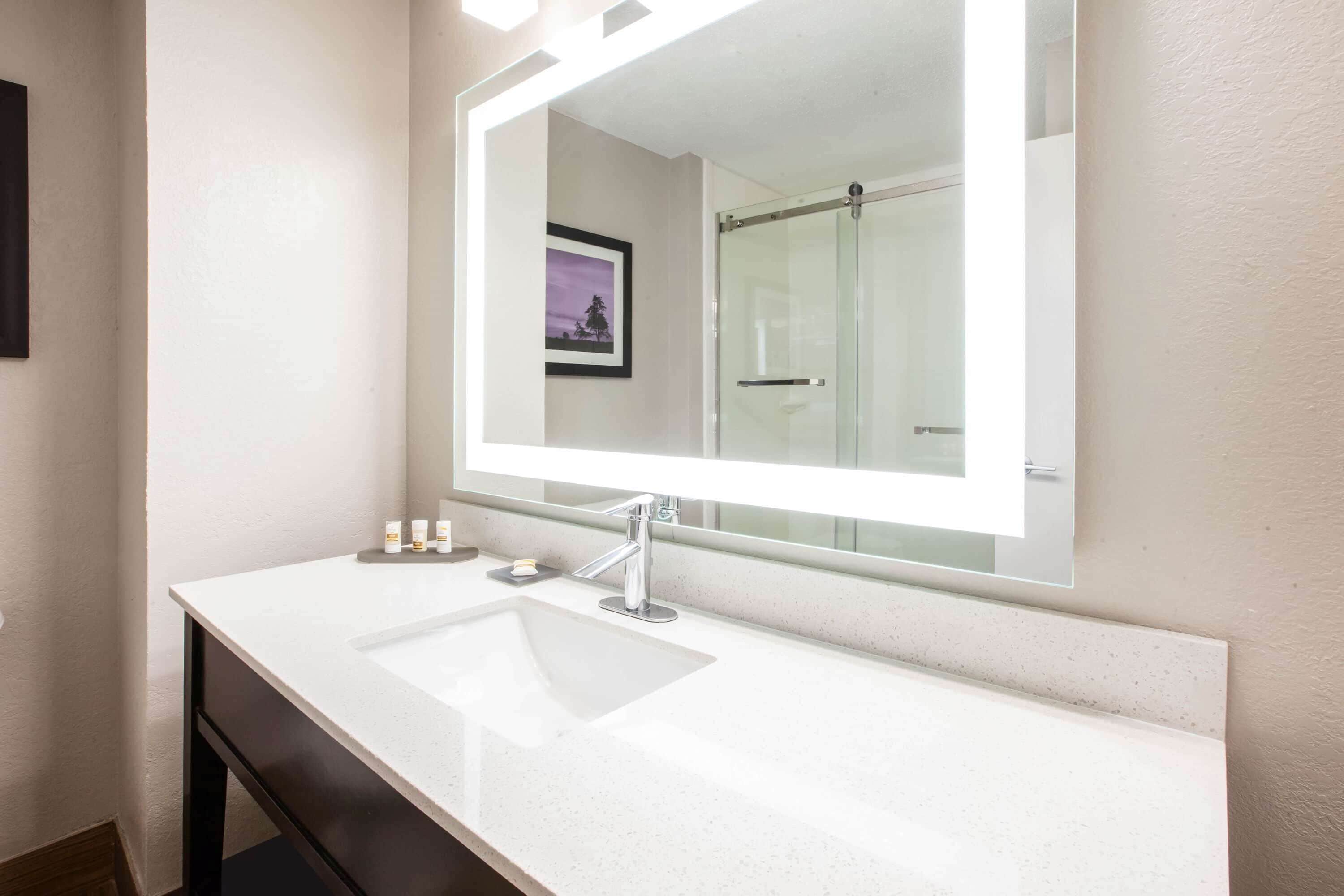 Un baño con un lavamanos blanco, un espejo grande y un cuadro en la pared.