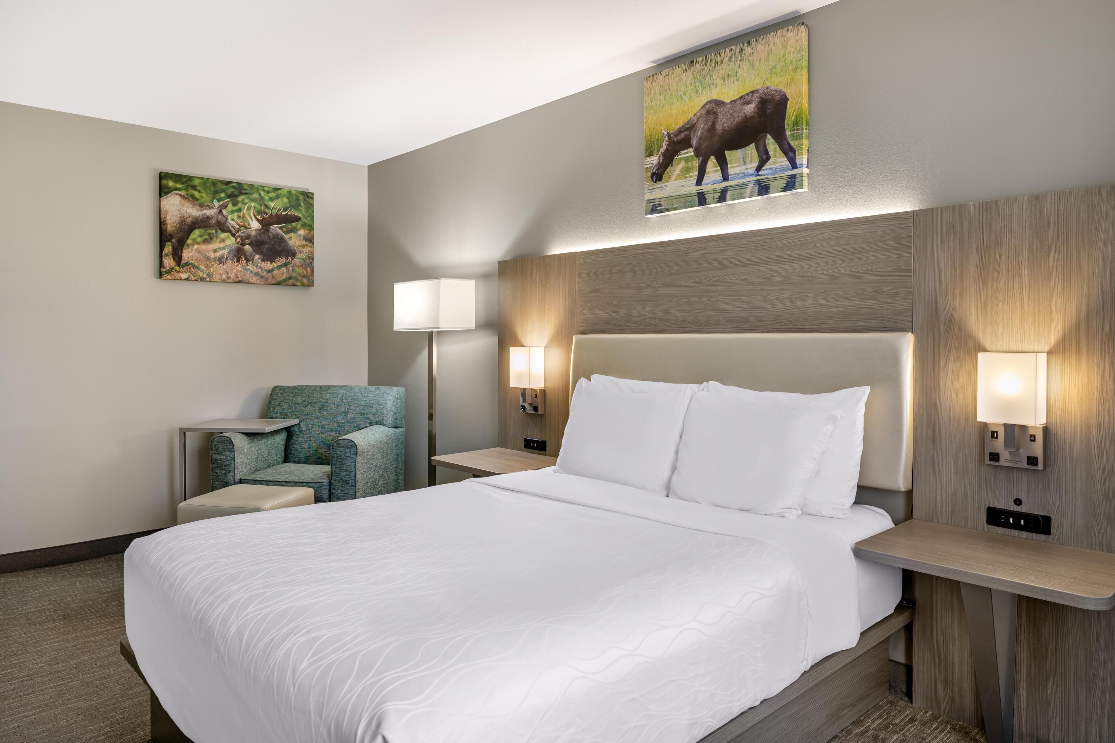 Standard Room, 1 Queen Bed, Accessible, Bathtub | Pillowtop beds, in-room safe, iron/ironing board, free WiFi