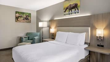 Standard Room, 1 Queen Bed, Accessible, Bathtub | Pillowtop beds, in-room safe, iron/ironing board, free WiFi