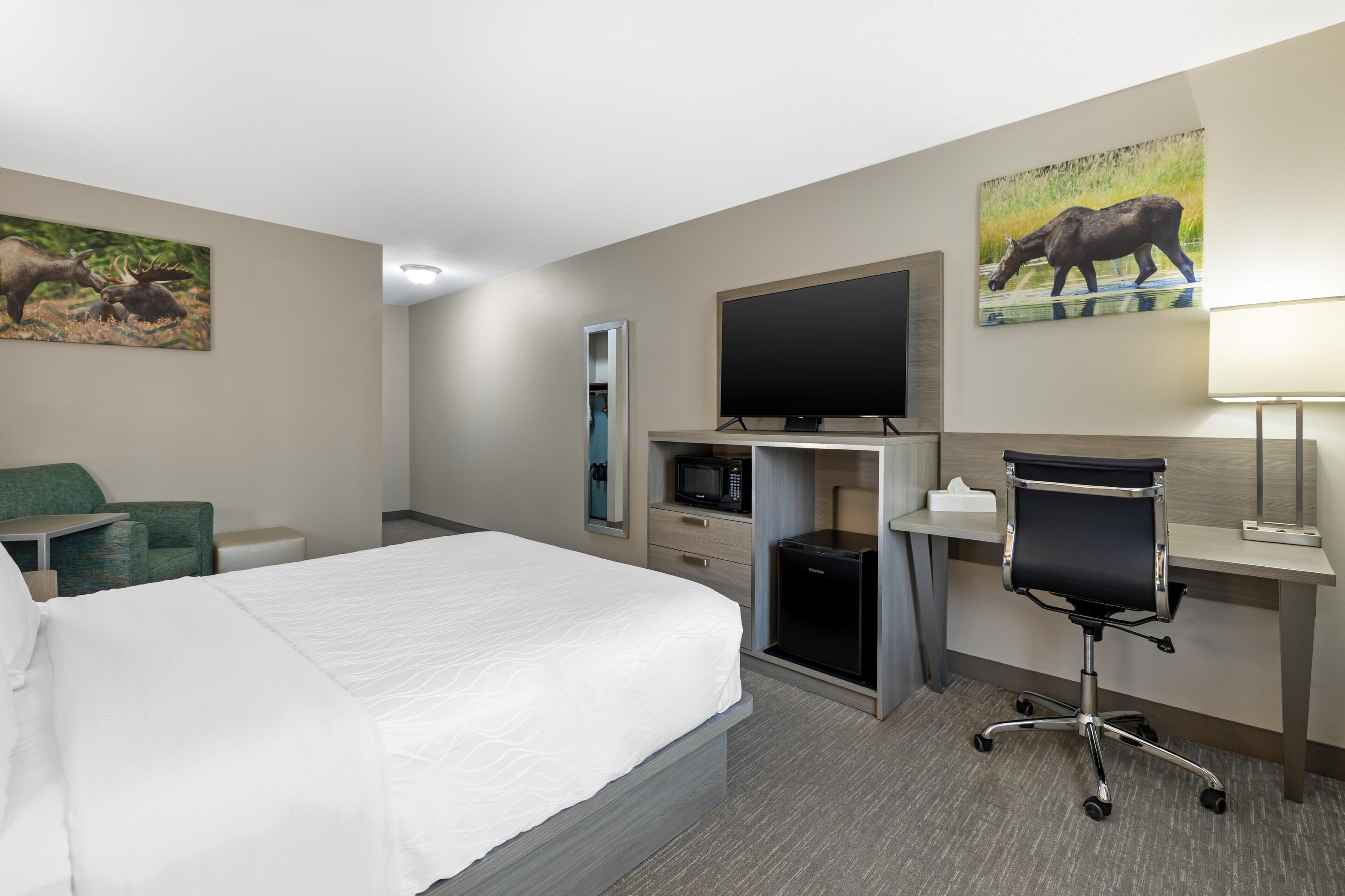 Standard Room, 1 Queen Bed, Accessible, Non Smoking | Pillow-top beds, in-room safe, iron/ironing board, free WiFi