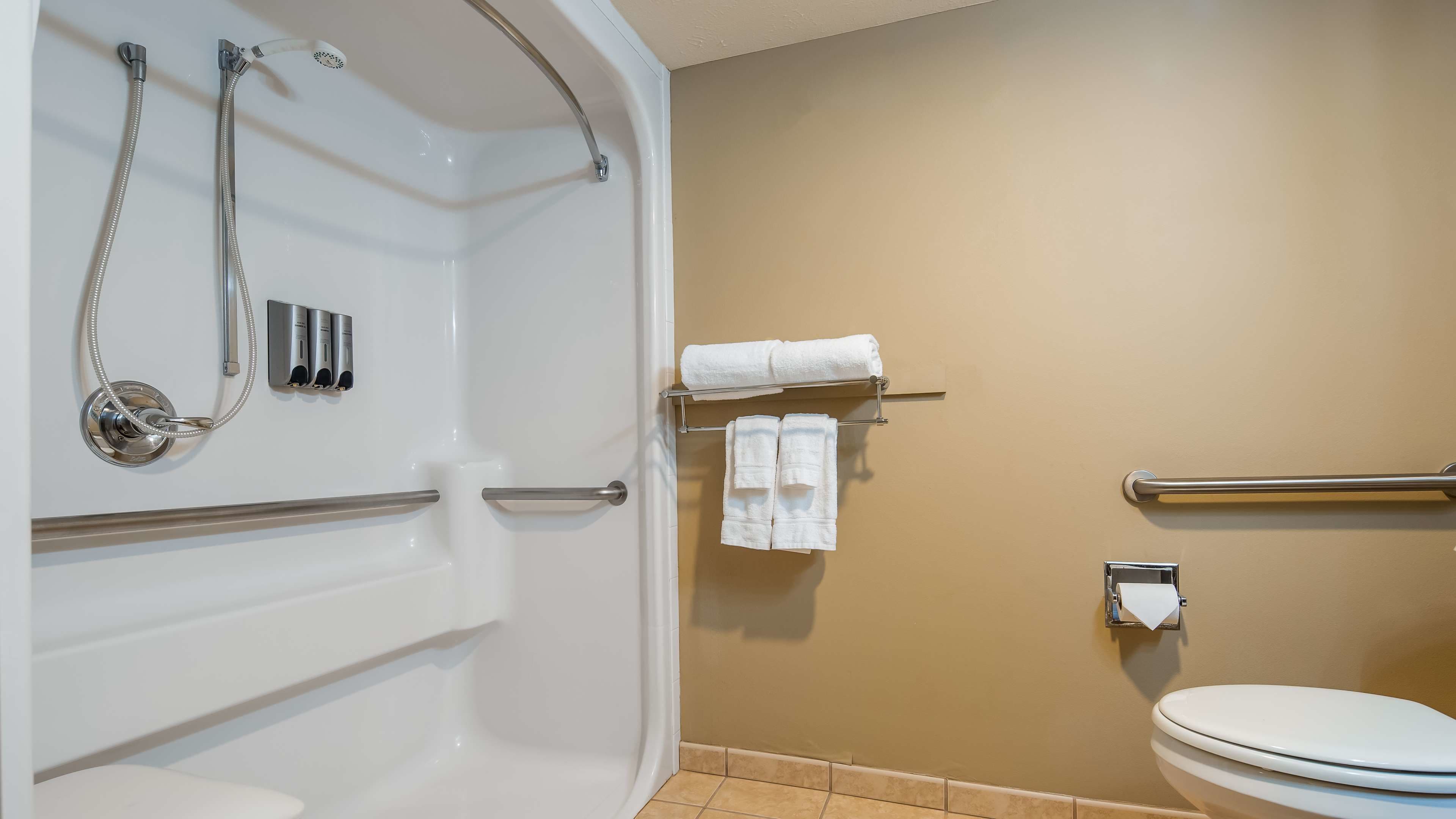 standard room, 1 queen bed, accessible, non smoking | bathroom | free toiletries, towels