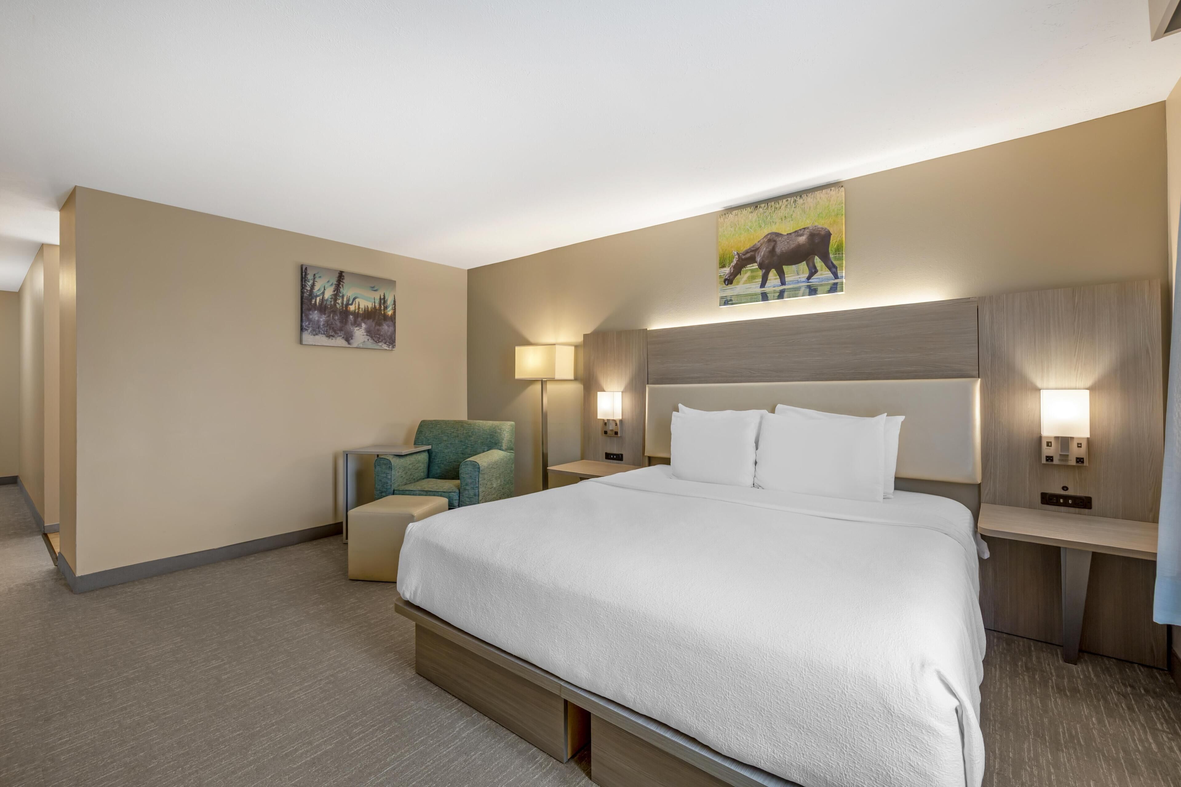 Standard Room, 1 King Bed, Non Smoking, Refrigerator & Microwave | Pillow-top beds, in-room safe, iron/ironing board, free WiFi
