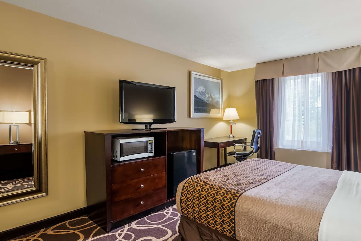 Standard Room, 1 Queen Bed, Non Smoking, Refrigerator & Microwave | Pillowtop beds, in-room safe, iron/ironing board, free WiFi