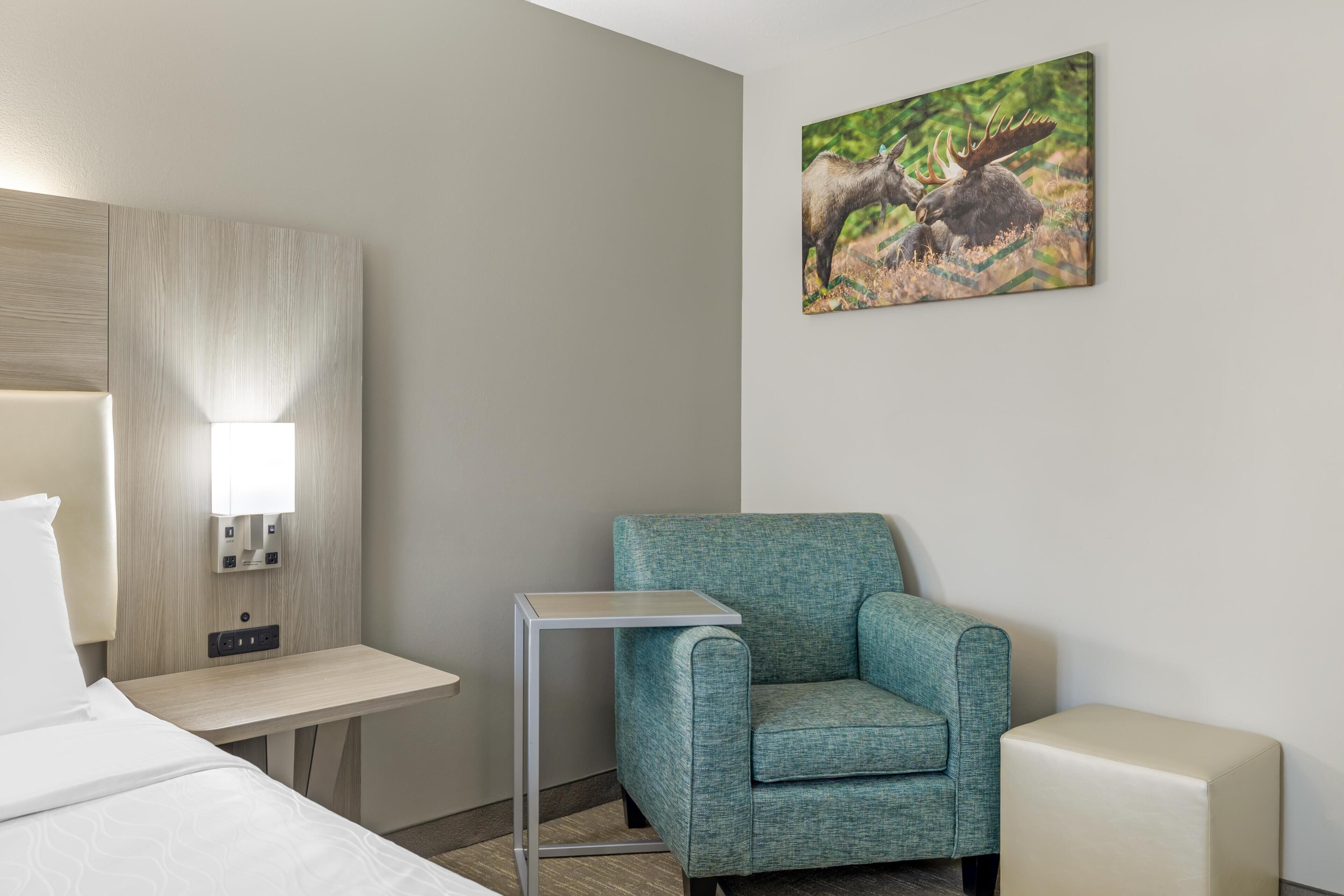 A hotel room with a bed, a desk, a chair, a bedside table, a wall-mounted lamp, and a painting of moose.