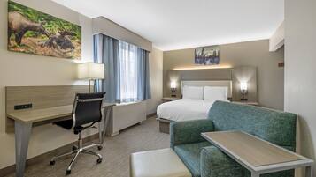 Standard Room, 1 Queen Bed, Non Smoking, Refrigerator & Microwave | Pillowtop beds, in-room safe, iron/ironing board, free WiFi