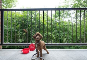 Pet-friendly