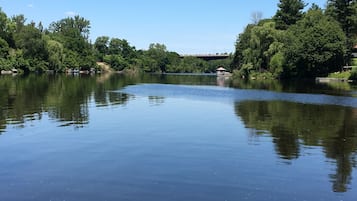 A calm lake with a gazebo on the shore, surrounded by dense trees and a clear sky.