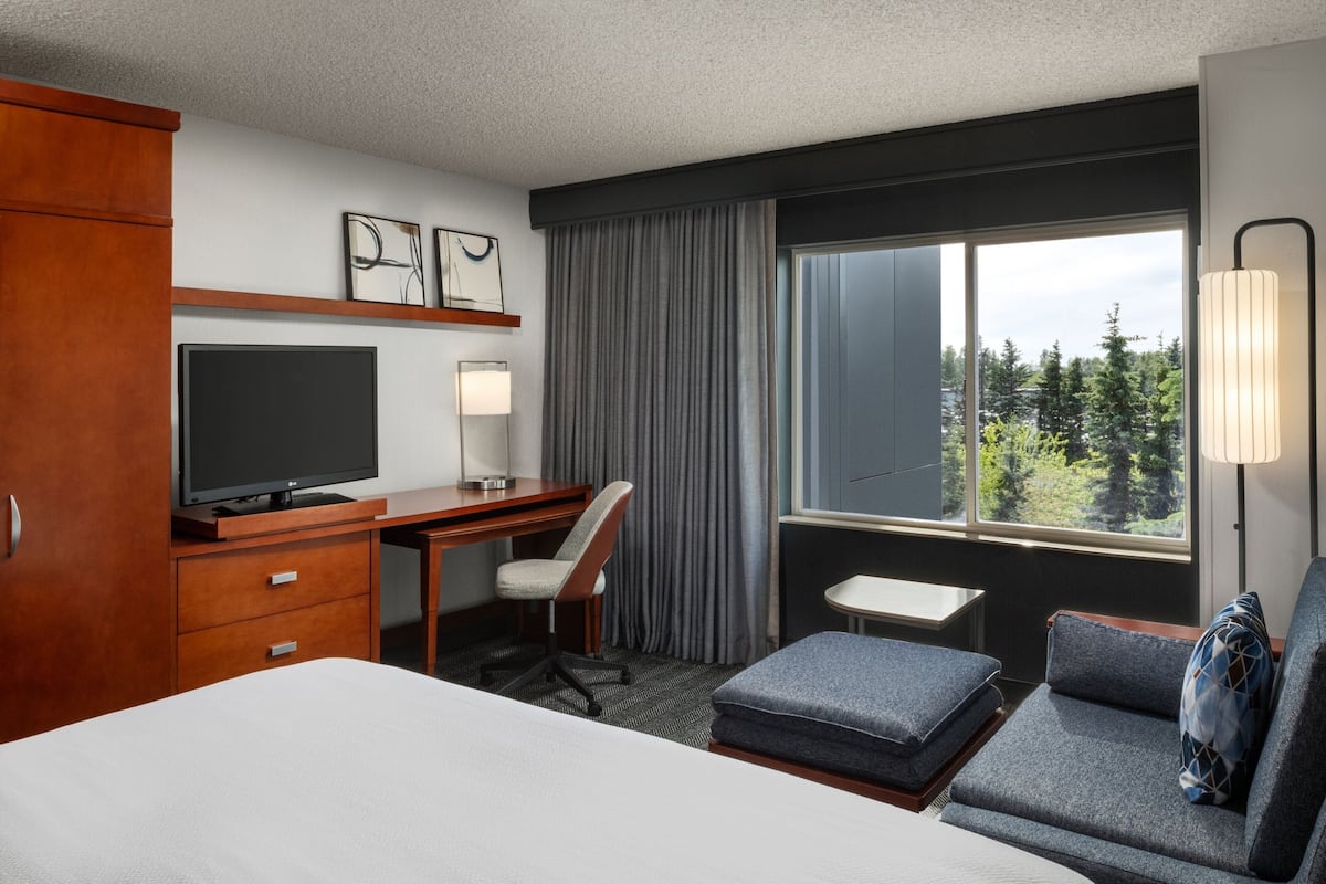 A hotel room with a bed, desk, chair, TV, and a view of trees through the window.