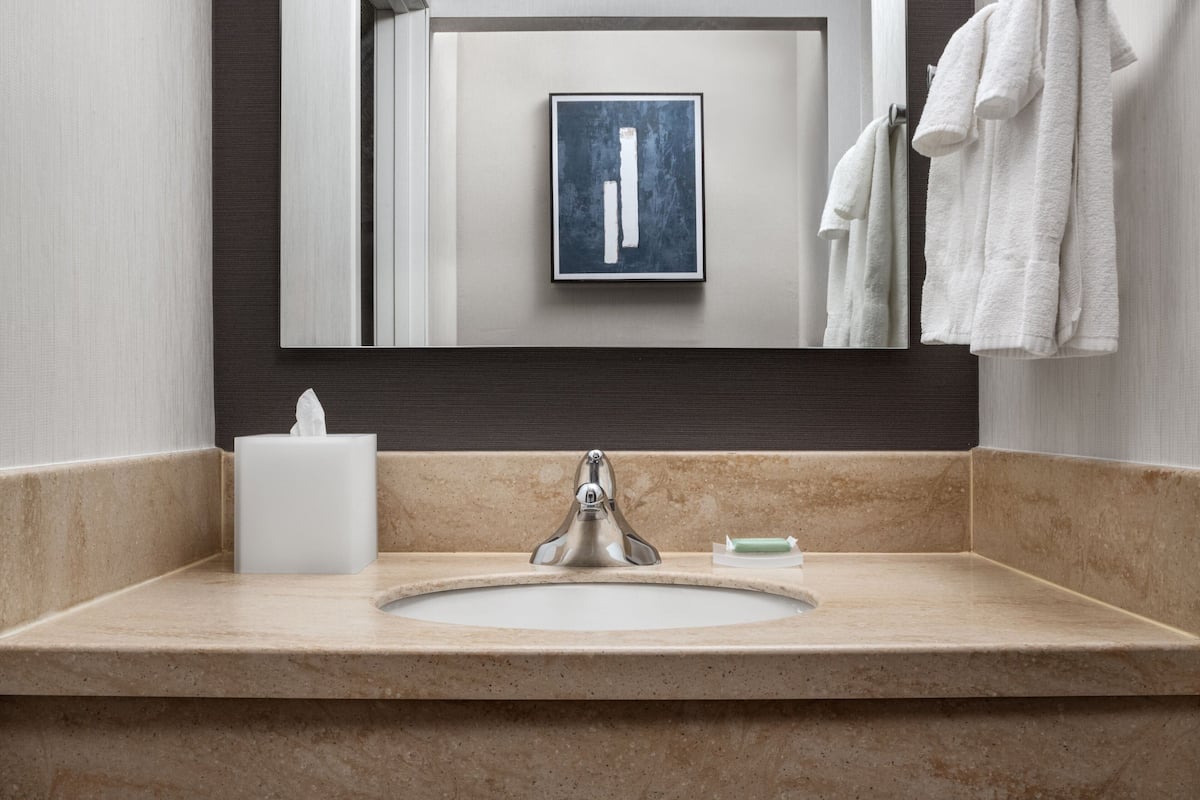 combined shower/bathtub, free toiletries, hair dryer, towels