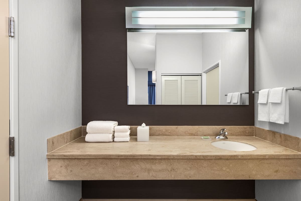 combined shower/bathtub, free toiletries, hair dryer, towels