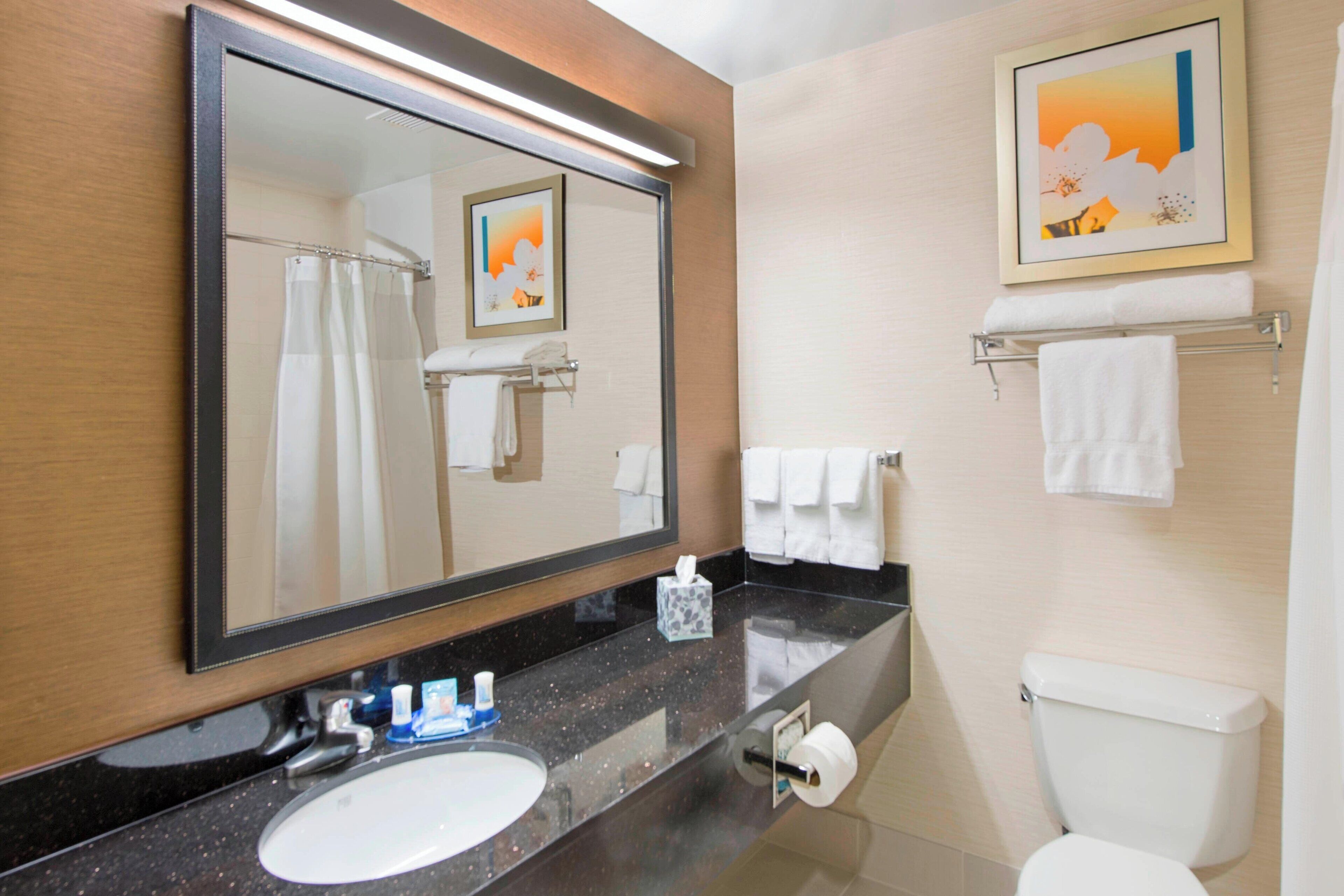 combined shower/bathtub, free toiletries, hair dryer, towels