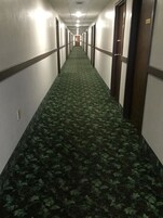 Servicio de la propiedad