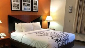 A hotel room with a large bed, a nightstand, a lamp, and framed pictures on the wall. - Sleep Inn Pelham Oak Mountain (Pelham)