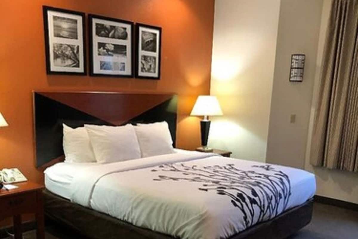 Habitación de hotel con una cama grande, una mesita de noche, una lámpara y cuadros en la pared.