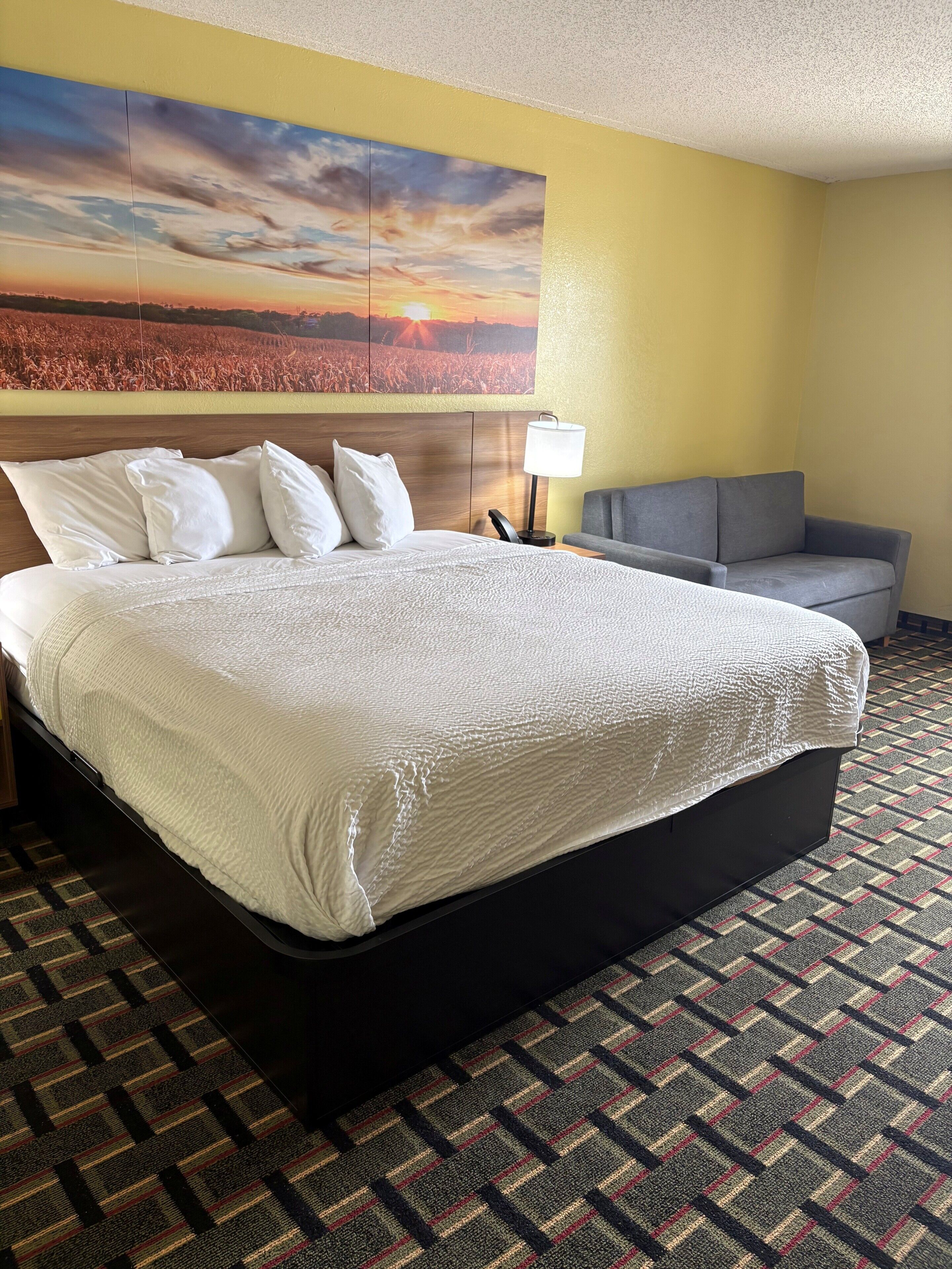 A hotel room with a large bed, a grey sofa, a wall-mounted lamp, and a large painting of a sunset.