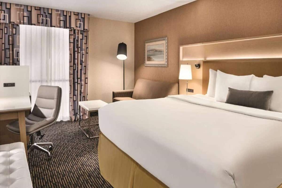 Room, 1 King Bed, Non Smoking