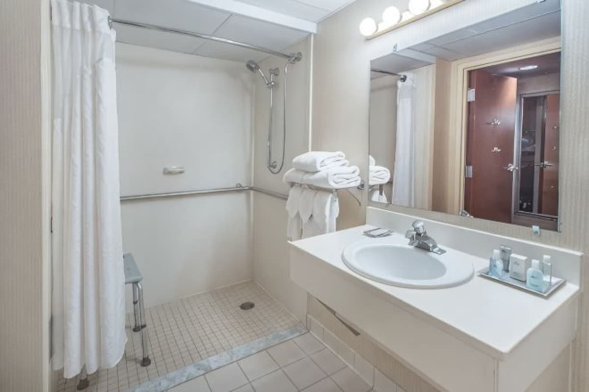 Een badkamer met een douche, een wastafel, een spiegel en een handdoekhouder.