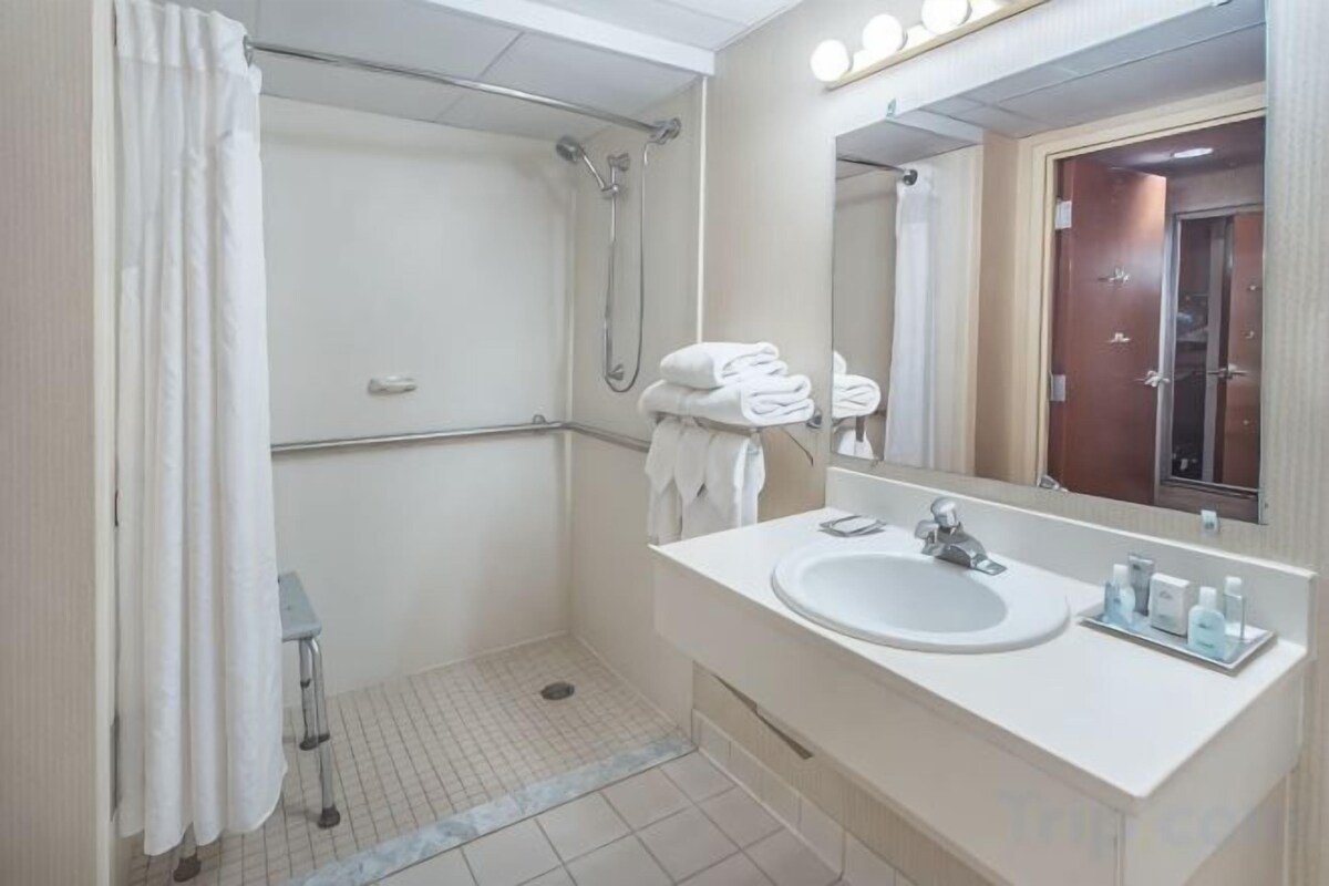 Combined shower/tub, free toiletries, hair dryer, towels