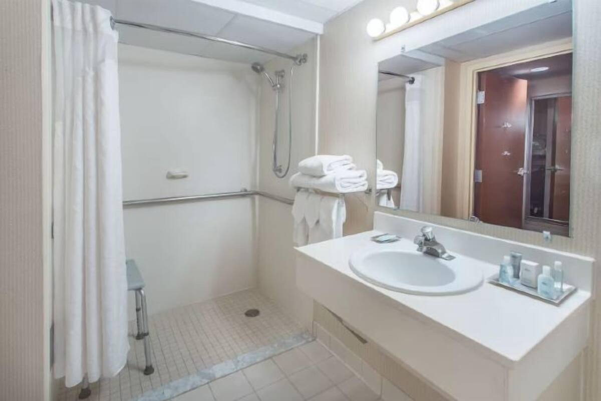 Combined shower/bathtub, free toiletries, hair dryer, towels