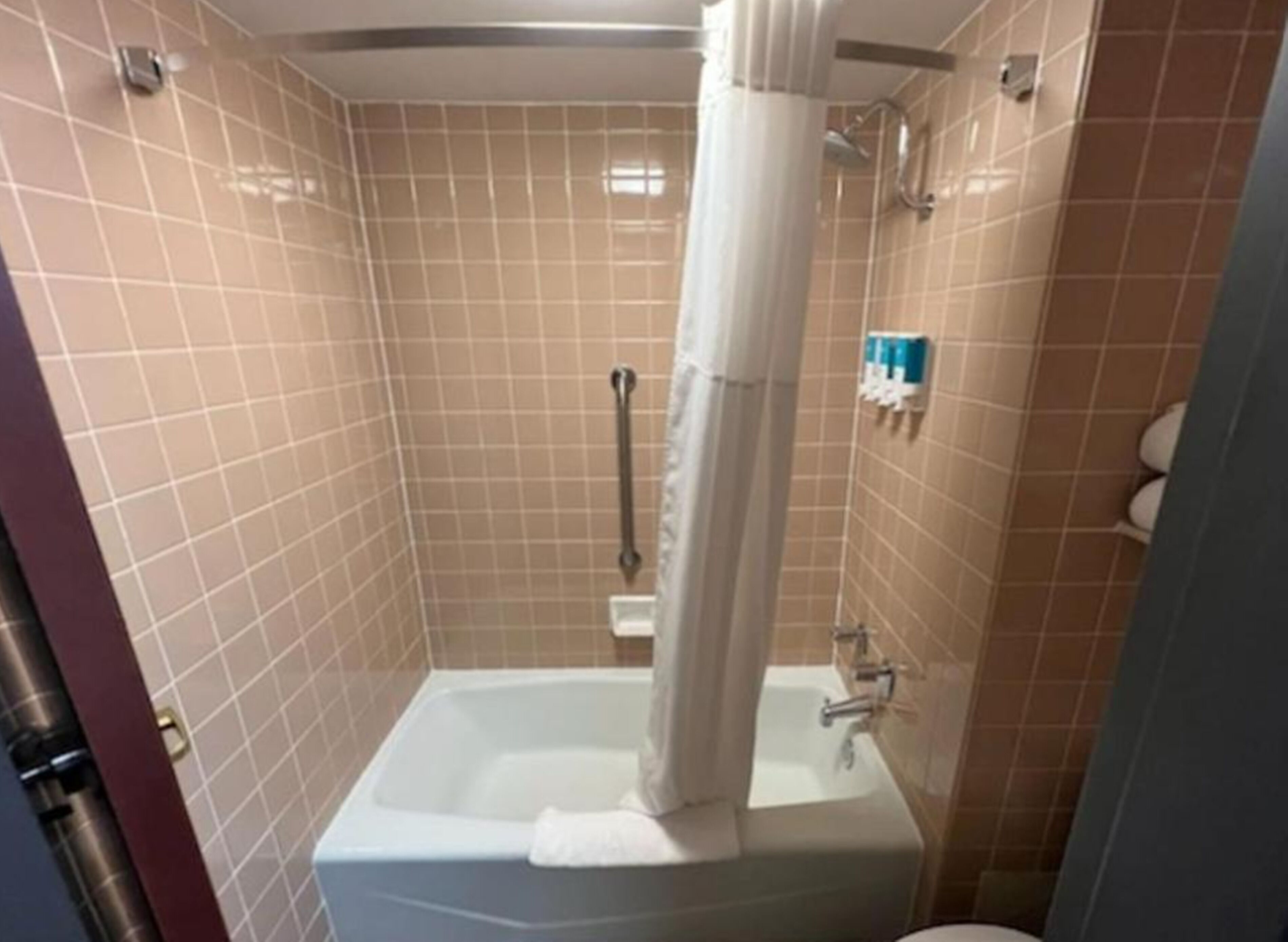Un baño con bañera, ducha e inodoro.